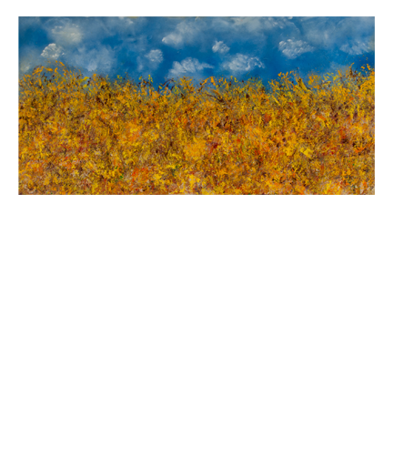 End of Summer